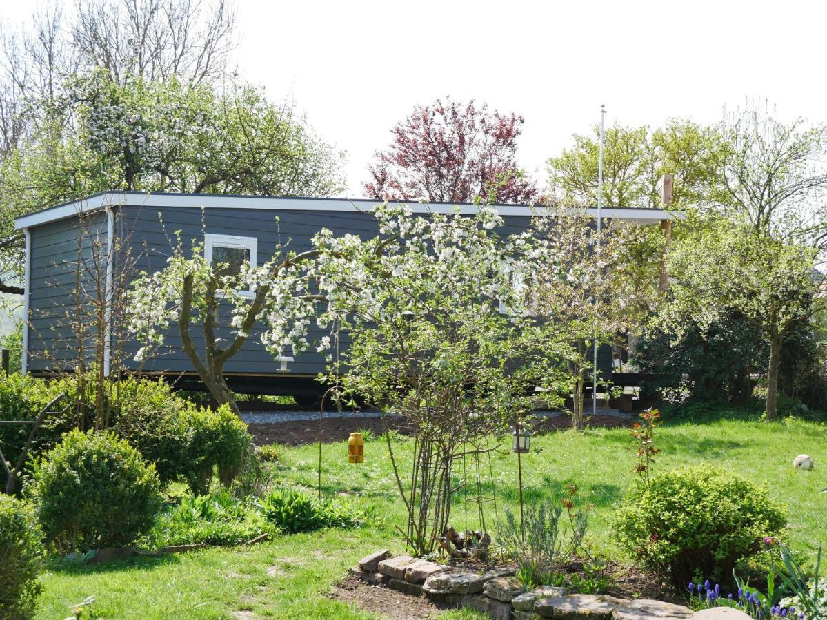 Tiny Ferienhaus Kelze Hofgeismar Ngoại thất bức ảnh