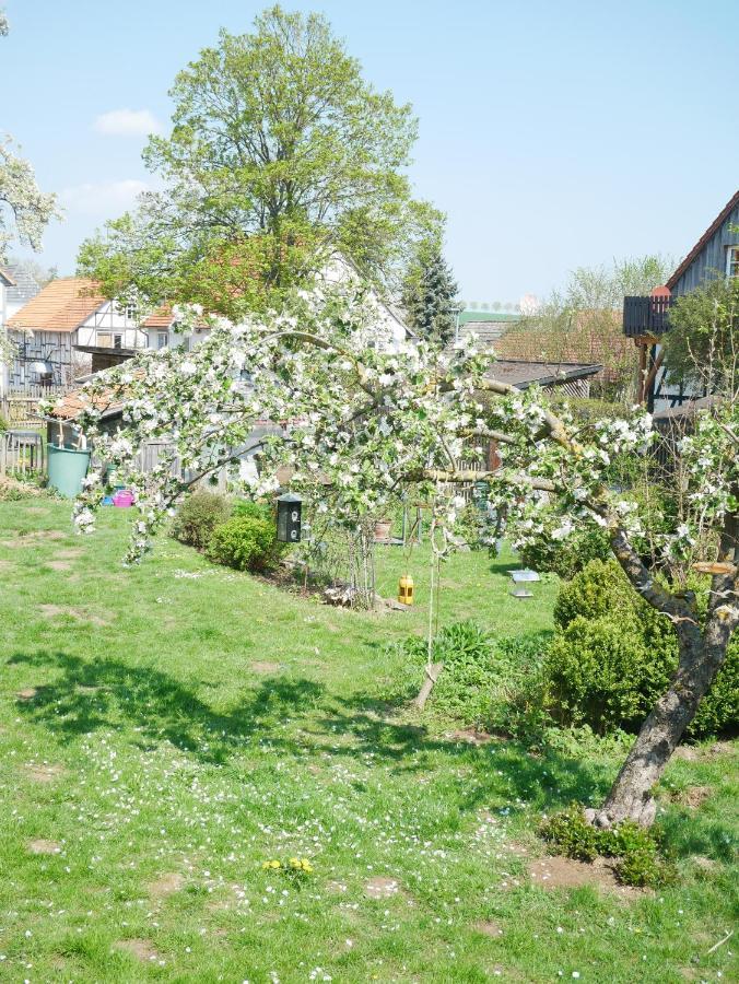 Tiny Ferienhaus Kelze Hofgeismar Ngoại thất bức ảnh